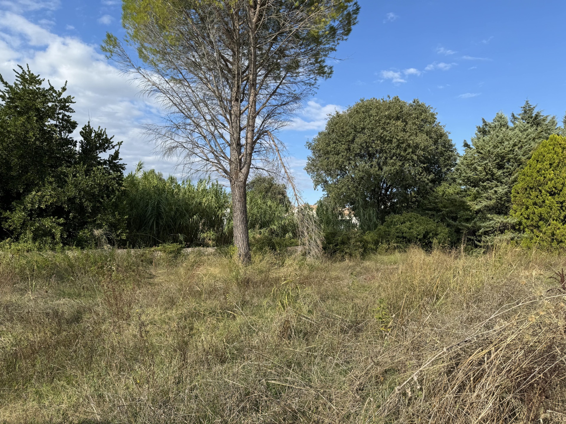 Projet de deux villas à Saint-Geniès-de-Malgoirès – Opportunité unique, cadre paisible et idéal pour famille